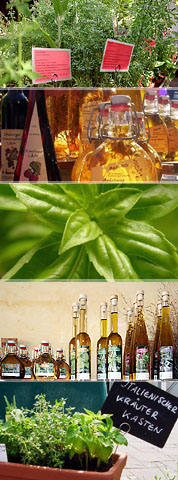 Das gibts bei Mussärol