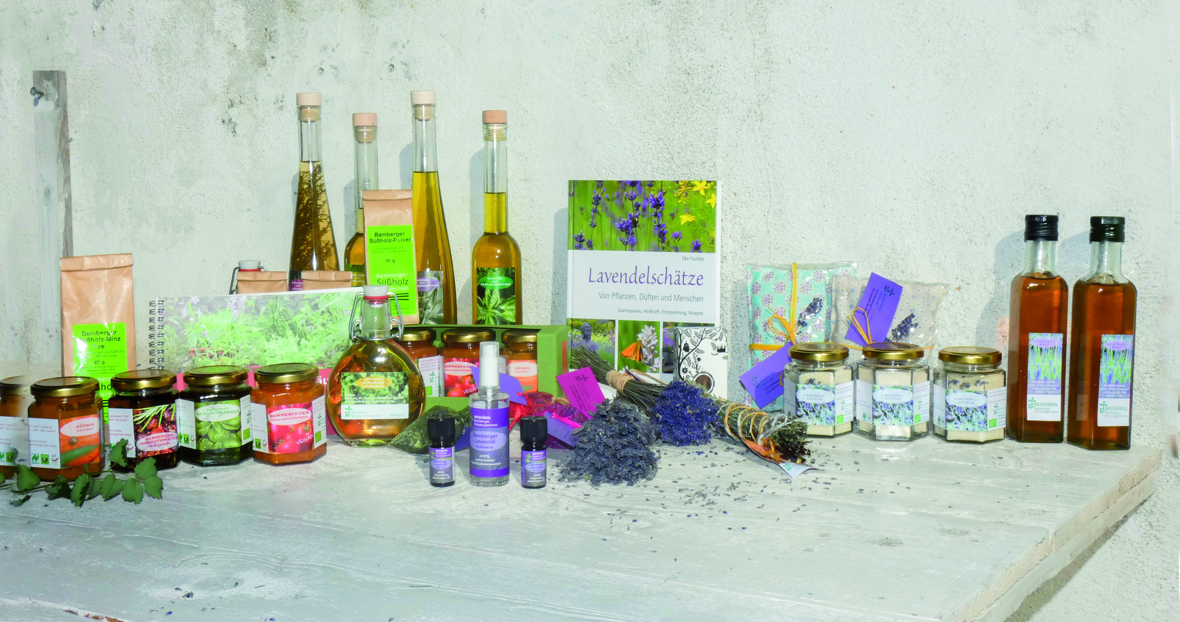 _1200696-Bearbeitet-2-1